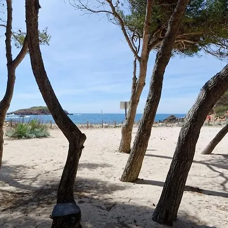 Appartement Cadre Exceptionnel - Appt Classe 3 Entierement Climatise - Mer-piscine-tennis Bandol